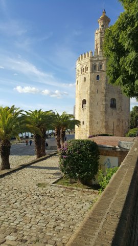 s268 torre doro